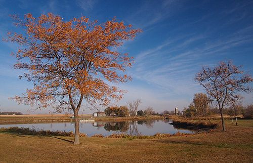 Luverne Township, Rock County, Minnesota